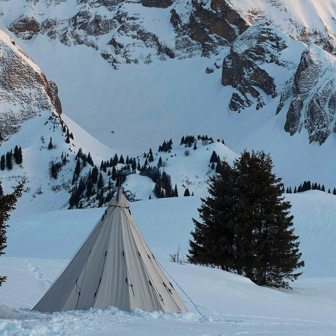 alfheim zelt Alfheim Tent – Colors